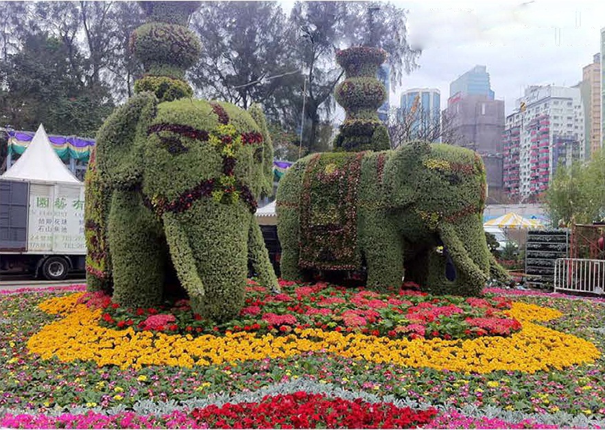 2011香港花卉展.JPG