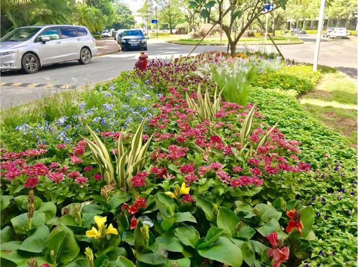 第十九屆植物學(xué)大會6.JPG